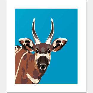 Bongo Antelope Posters and Art